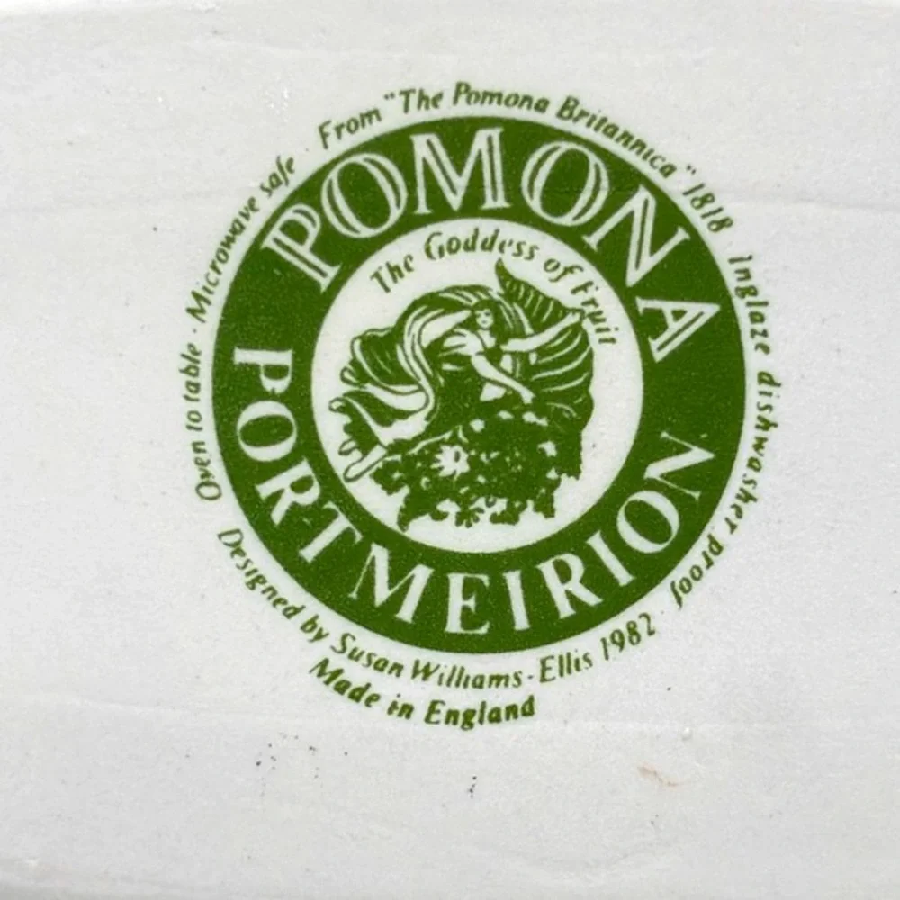 Vintage Pomona by Portmeirion 10 3/4 Inch Ceramic Oval Steak Platter